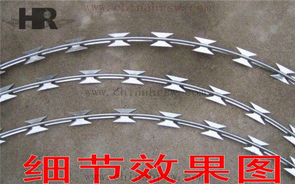 刺絲滾籠細節圖